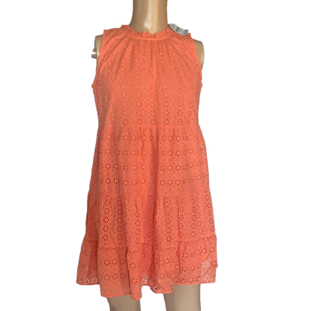 Loft NWT dress.